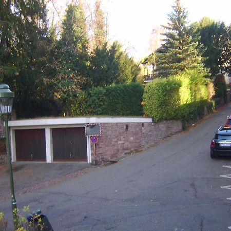 Garden Apartment Μπάντεν-Μπάντεν Εξωτερικό φωτογραφία