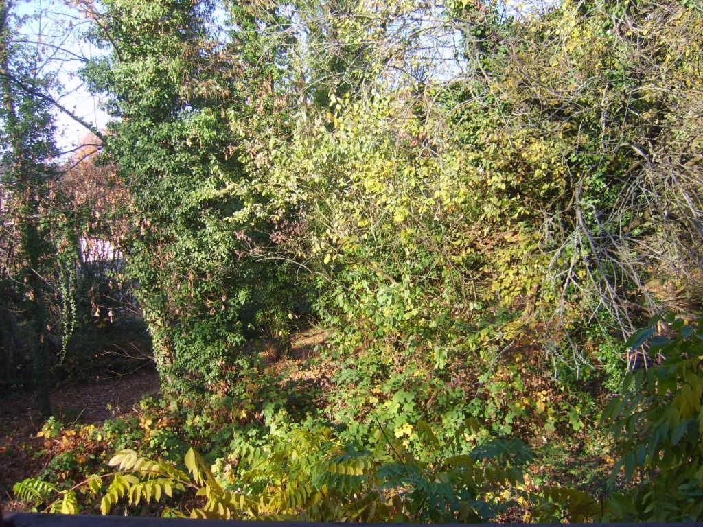 Garden Apartment Μπάντεν-Μπάντεν Εξωτερικό φωτογραφία